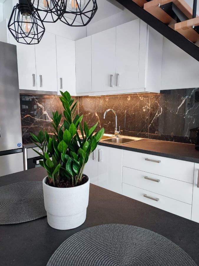 Freesia Loft Apartment ヨアニナ エクステリア 写真