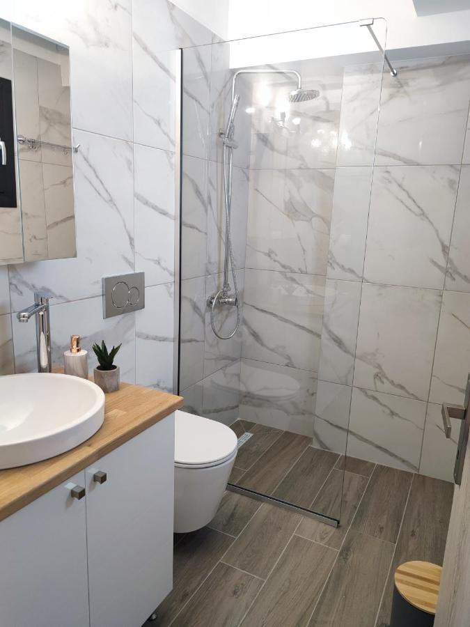 Freesia Loft Apartment ヨアニナ エクステリア 写真
