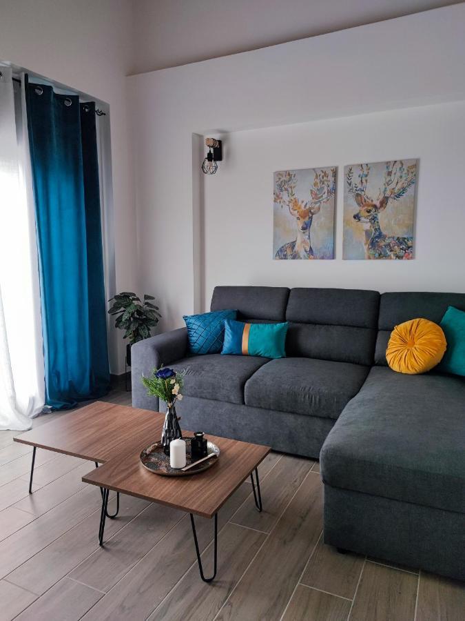 Freesia Loft Apartment ヨアニナ エクステリア 写真